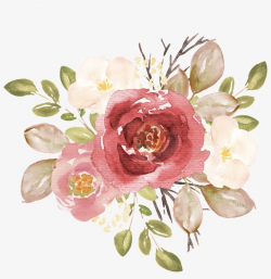 Hand Painted Watercolor Rose Png Transparent - 玫瑰 水彩 ...