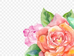 Flower Watercolor Painting Garden Roses Floral Design ...
