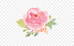 Watercolor Pink Flowers clipart - Flower, Rose, transparent ...