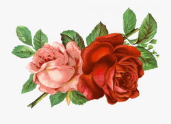 Flower Clipart Floral Clipart Roses Clipart - Clipart Kwiaty ...