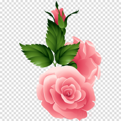 Bouquet Of Flowers clipart - Rose, Flower, Color ...