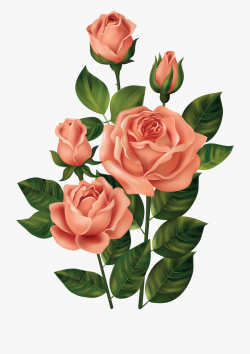 Rose Clipart, Flower Clipart, Rose Pictures, Art Pictures ...