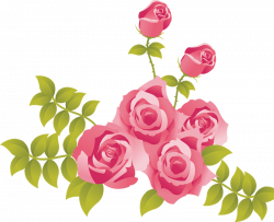 Pink Roses Painted Picture Clipart | Gallery Yopriceville ...