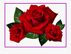 Appealing Bouquet Of Frame Clipart Kid Rose Art Image - Red ...