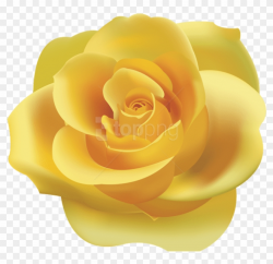 Download Yellow Rose Png Png Images Background - Yellow Rose ...