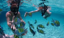 Royal Caribbean changes Shore Excursions Cancellation Policy ...
