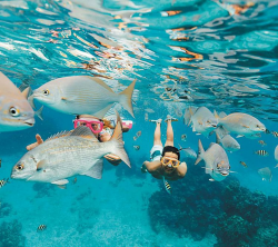 Shore Excursions & Cruise Guided Tours | Royal Caribbean Cruises