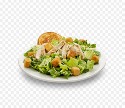 Chicken Salad PNG Caesar Salad Clipart download - 768 * 768 ...