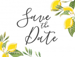 Summer Save The Date Postcards | Zazzle UK
