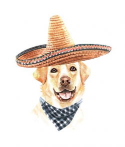 Watercolor Labrador Retriever with Mexican hat and Scarf ...