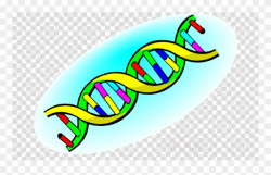 Life Science Clipart Biology Clipart Clip Art - Blind Atheist: The ...