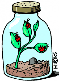 Plant science clipart » Clipart Portal