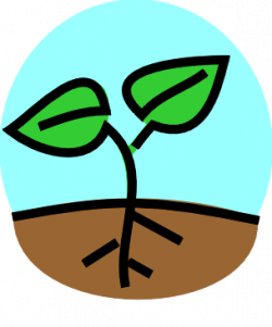 Stacy Sews and Schools: Plants Unit Study - Clip Art Library