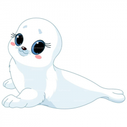 CLIPART WHITE BABY SEAL | Royalty free vector design ...