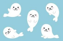 Image result for cute seal clipart | Baby seal, Cute ...