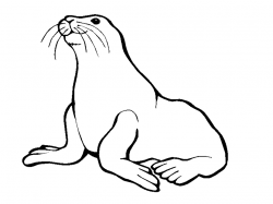 Free Seal Clipart Black And White, Download Free Clip Art ...