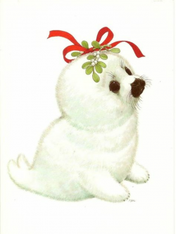 CHRISTMAS BABY SEAL | CLIP ART - CHRISTMAS 2 - CLIPART ...