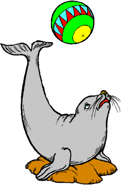 Free Circus Seal Cliparts, Download Free Clip Art, Free Clip ...