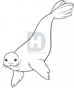 Collection of Seal clipart | Free download best Seal clipart ...