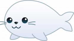 My free clip art of a cute little baby seal | Cute seals ...