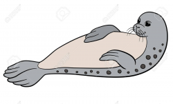Leopard Seal Drawing | Free download best Leopard Seal ...