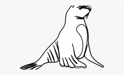 Leopard Seal Clipart Printable - Sea Lion Black And White ...
