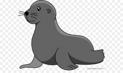 Download for free 10 PNG Seal clipart harp top images at ...