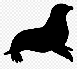 Leopard Seal Clipart Animated - Sea Lion Silhouette Png ...