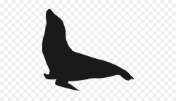 Sea Bird clipart - Walrus, Silhouette, Lion, transparent ...