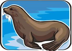 Free Seal Swimming Cliparts, Download Free Clip Art, Free ...