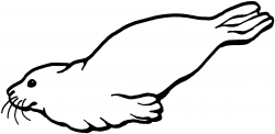 Free Seal Swimming Cliparts, Download Free Clip Art, Free ...