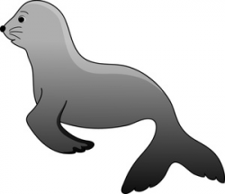 Seal swimming clipart - Clip Art Library