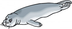 Swimming Seal | Clipart Panda - Free Clipart Images