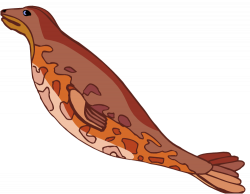 Free Seal Swimming Cliparts, Download Free Clip Art, Free ...