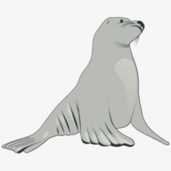 Seal Png Image - Sea Lion Transparent Background #914181 ...