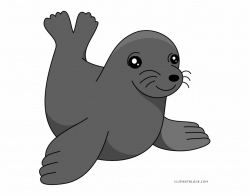 Download for free 10 PNG Seal clipart transparent background ...