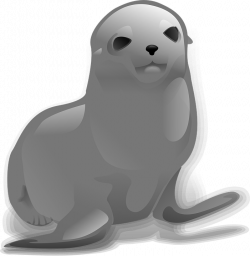 Harbor Seal PNG Clipart Image #11 - Free Transparent PNG ...