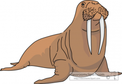 Top walrus clip art free clipart image 2 - ClipartPost