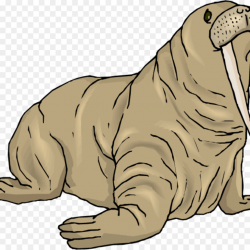 Cat And Dog Cartoon clipart - Walrus, Seals, Wildlife ...