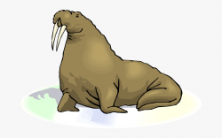Walrus Clipart - Cartoon Walrus Transparent Background ...