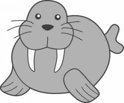 Free Walrus Cliparts, Download Free Clip Art, Free Clip Art ...