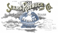 Dawn Reader: We Shopped at Sears