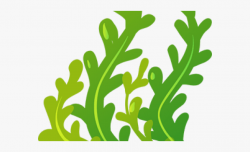 Seaweed Cliparts - Transparent Background Seaweed Cartoon ...