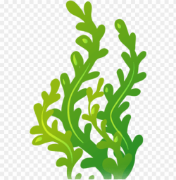 Download for free 10 PNG Seaweed clipart cute top images at ...