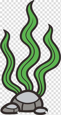 Seaweed , Seagrass Cartoon, Cartoon seaweed transparent ...