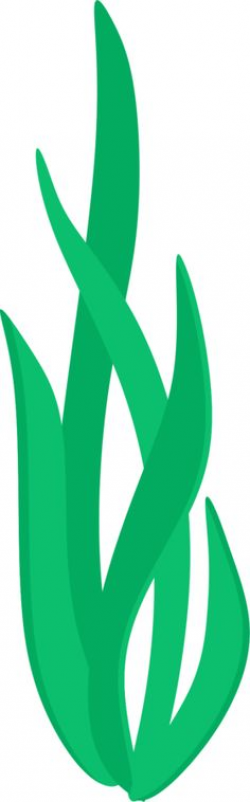 Free Seaweed Cliparts, Download Free Clip Art, Free Clip Art ...