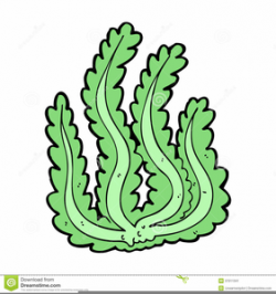 Animated Seaweed Clipart | Free Images at Clker.com - vector ...
