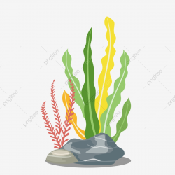 Marine Life Free Coral Green Coral Beautiful Coral, Creative ...