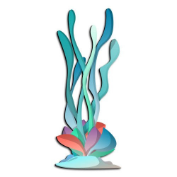 Free Colorful Clipart seaweed, Download Free Clip Art on ...