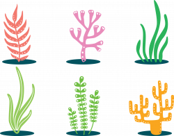 Seaweed Clipart colorful 5 - 4564 X 3589 Free Clip Art stock ...